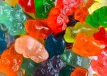 Little Gummy Bear! – Mrs. Bishop