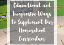 Ways to Supplement Our Homeschool Curriculum with Oriental Trading
