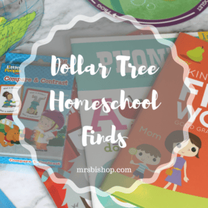 Dollar Tree Homeschool Finds – Mrs. Bishop