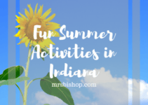 Fun Summer Activities in Indiana – Mrs. Bishop