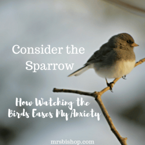 Consider the Sparrow- How Watching the Birds Eases My Anxiety – Mrs. Bishop