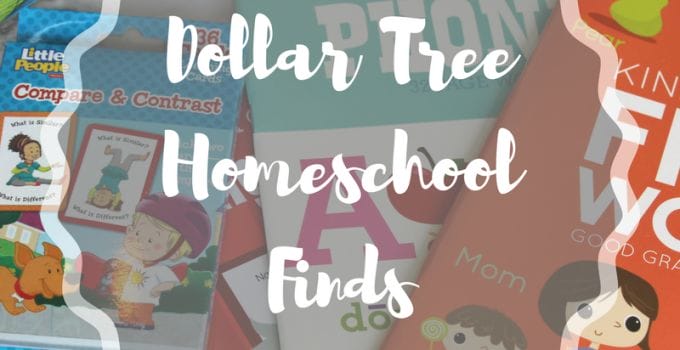 Dollar Tree Homeschool Finds